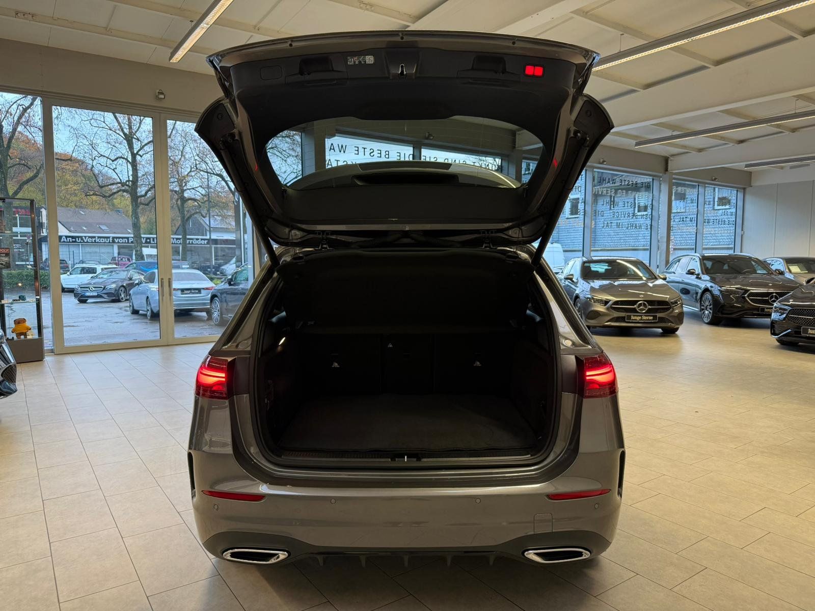 Fahrzeugabbildung Mercedes-Benz B 250 4M AMG+DISTR+MBEAM+NIGHT+MEMORY+KAMERA+DAB