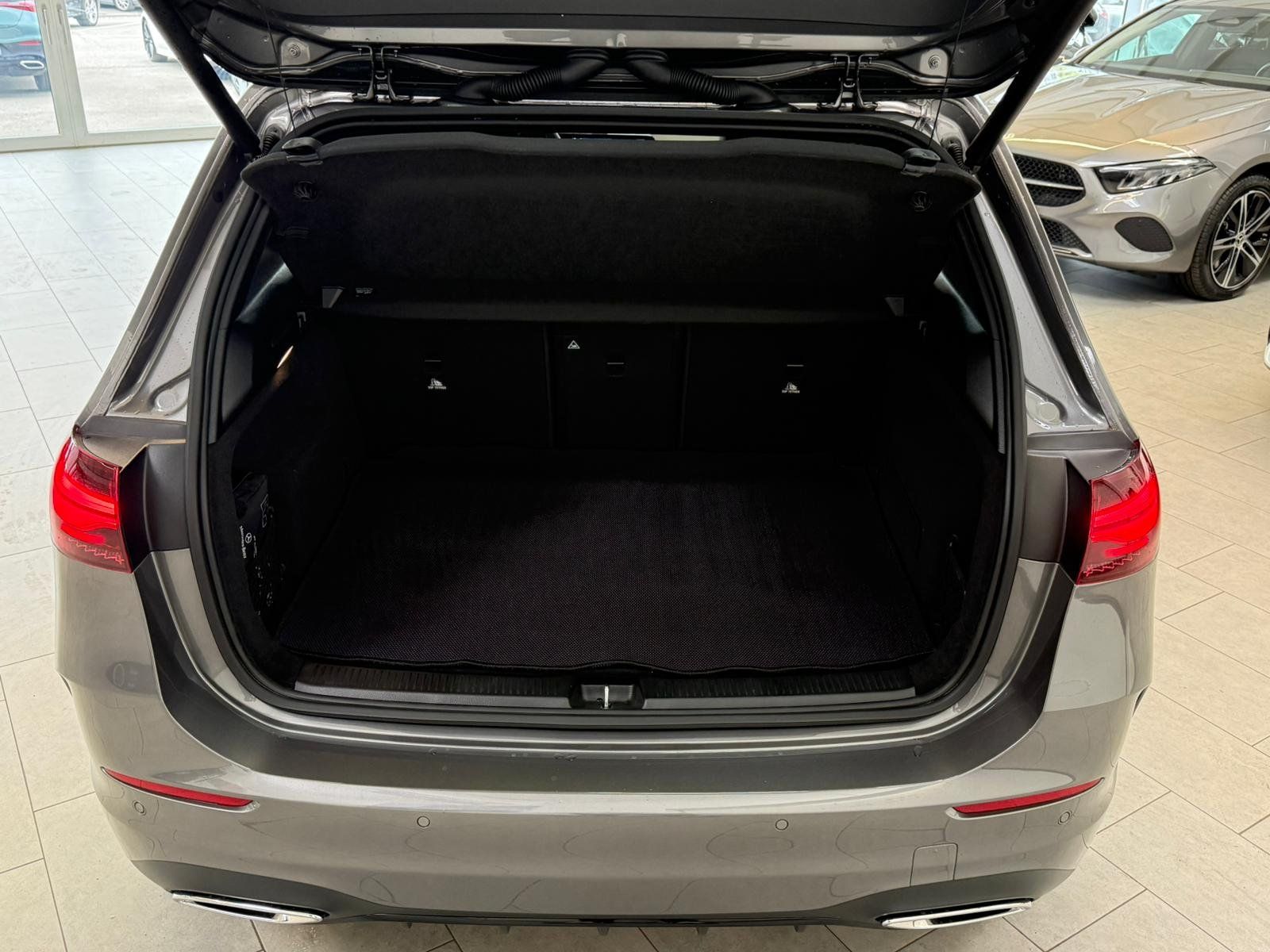 Fahrzeugabbildung Mercedes-Benz B 250 4M AMG PREMIUM+BEAM+NIGHT+MEMORY+WINTERPKT