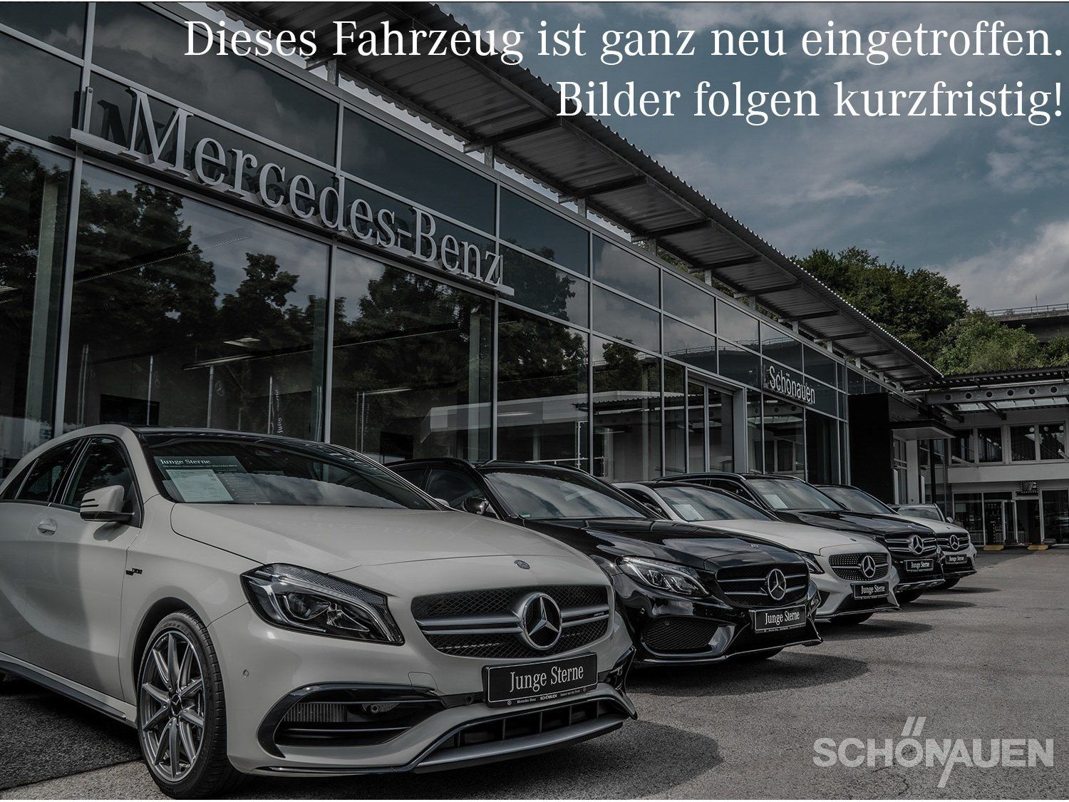Mercedes-Benz Mercedes-AMG GLE 53 HYBRID 4M+ PREMIUM AHK+BURME
