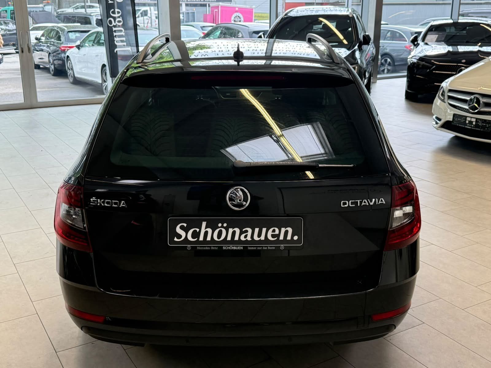 Fahrzeugabbildung SKODA Octavia 1.6 TDI Soleil VERKAUF NUR AN GEWERBE